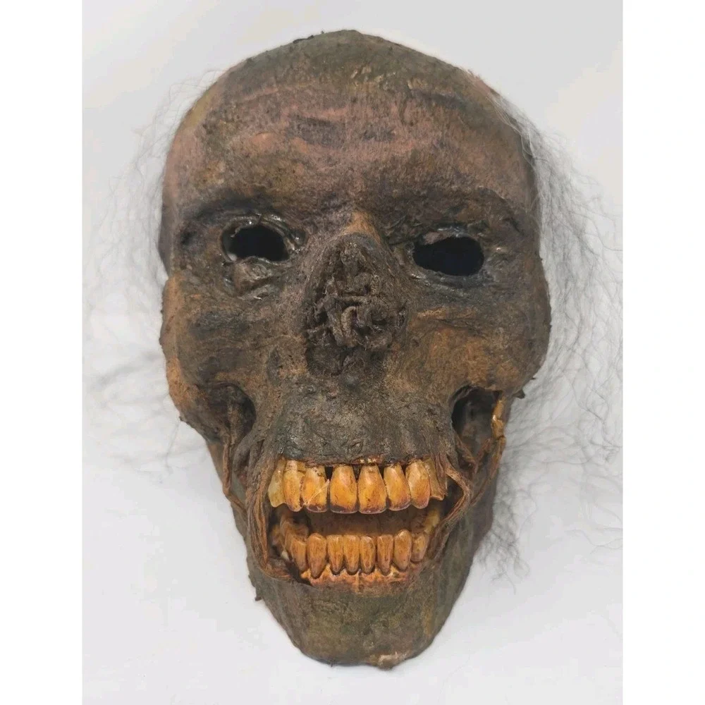 Life-Size Rotted Skull Prop Used Prop Skull Halloween Horror Haunted House U62